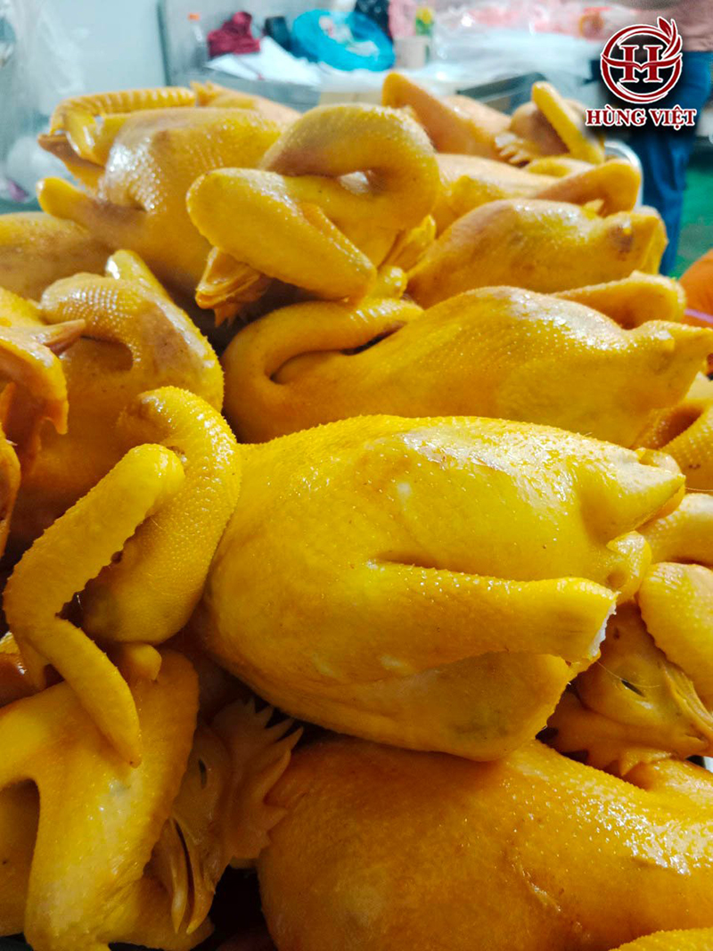 Da gà vàng ruộm, đẹp mắt