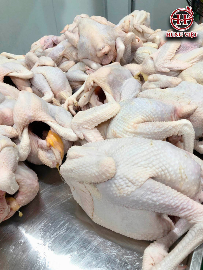 Gà ta cân nặng chuẩn được sử dụng để làm gà ủ muối