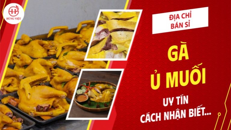 Địa chỉ bán sỉ gà ủ muối uy tín