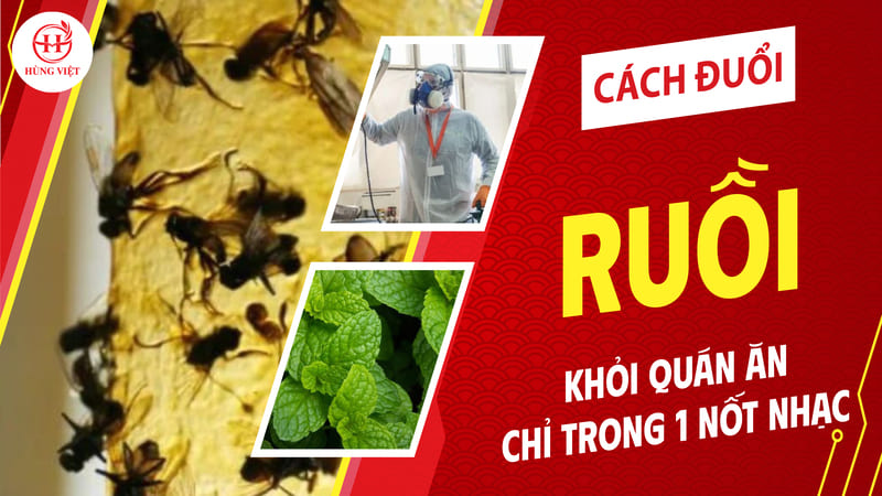 Cách đuổi ruồi