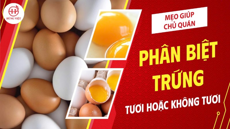 Phân biệt trứng tươi và không tươi