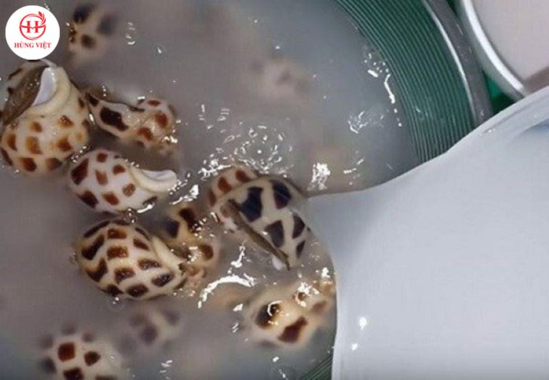 Khử tanh ốc bằng nước vo gạo