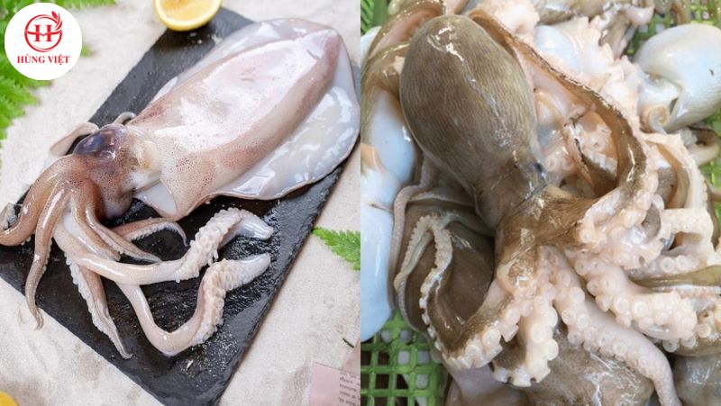 Sơ chế khử tanh mực, bạch tuộc