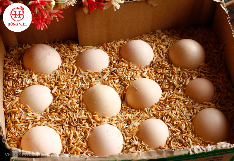 Bảo quản trứng với vỏ trấu