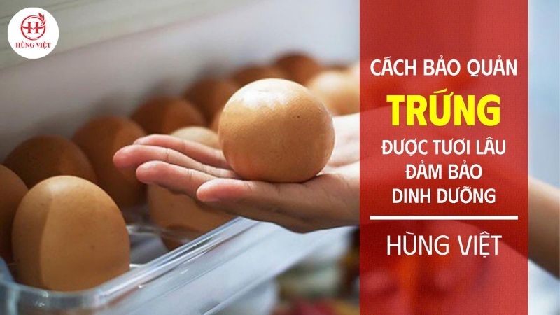 Cách bảo quản trứng được tươi lâu