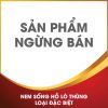 Nem sống hồ lô thùng loại đặc biệt