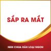 Nem chua rán loại ngon