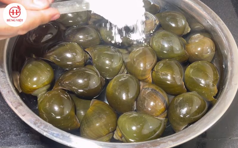 Cho bột gạo vào ốc và ngâm 2-3 giờ