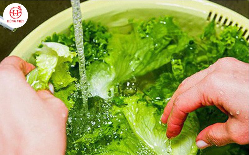 Rửa sạch rau sống