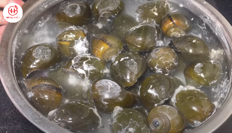 Rửa sạch ốc cho hết chất dơ