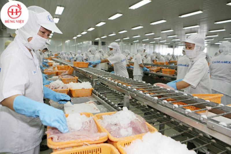 Sử dụng thiết bị hiện đại trong sản xuất thực phẩm 