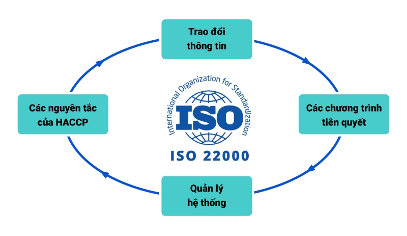 Hệ thống quản lý chất lượng được áp dụng trong quá trình sản xuất của nhà máy.