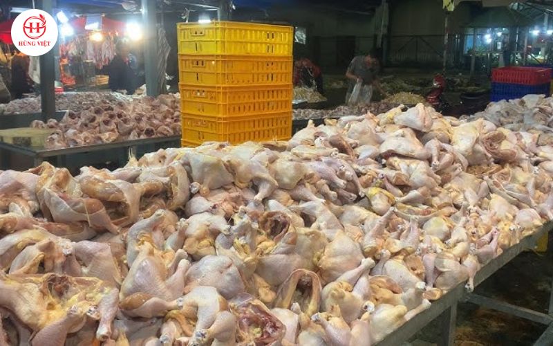 Chợ đầu mối, chợ truyền thống