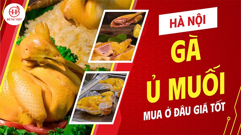 Gà Ủ Muối Mua Ở Đâu Hà Nội Uy Tín
