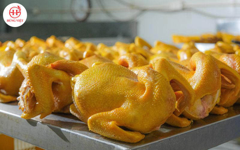 Gà ủ muối mua ở đâu Hà Nội uy tín