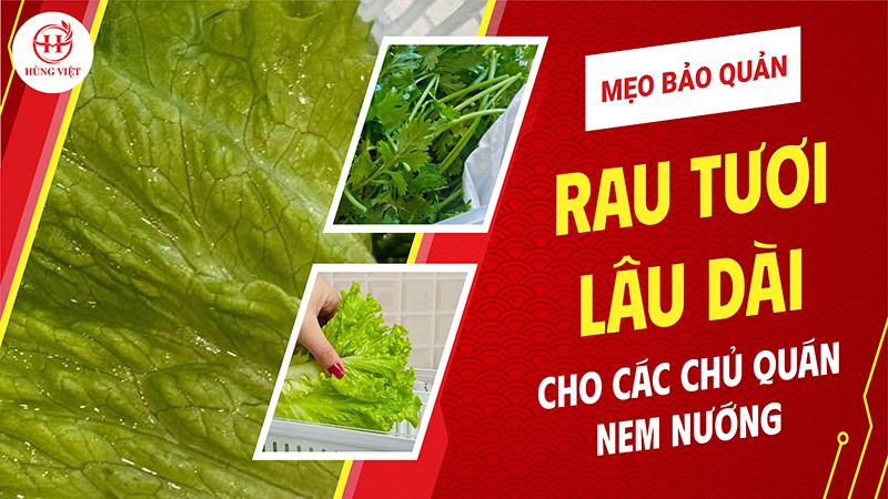 Mẹo Bảo Quản Rau Tươi Lâu Dành Cho Các Chủ Quán Nem Nướng