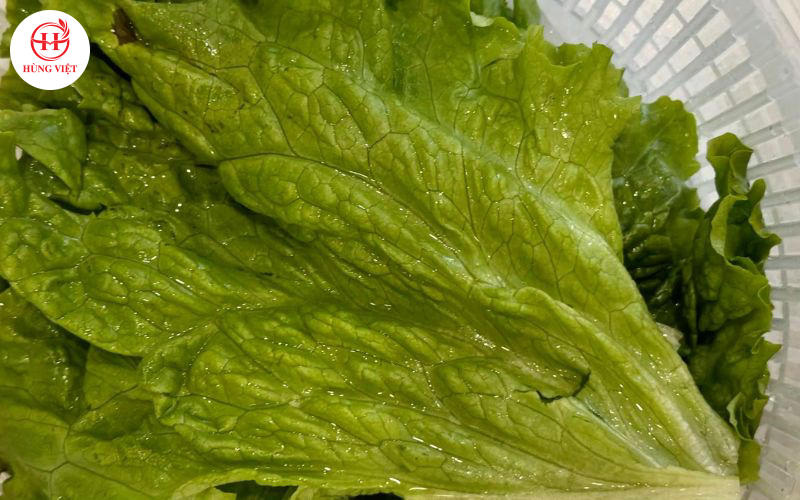 Mẹo Bảo Quản Rau Tươi Lâu Dành Cho Các Chủ Quán Nem Nướng