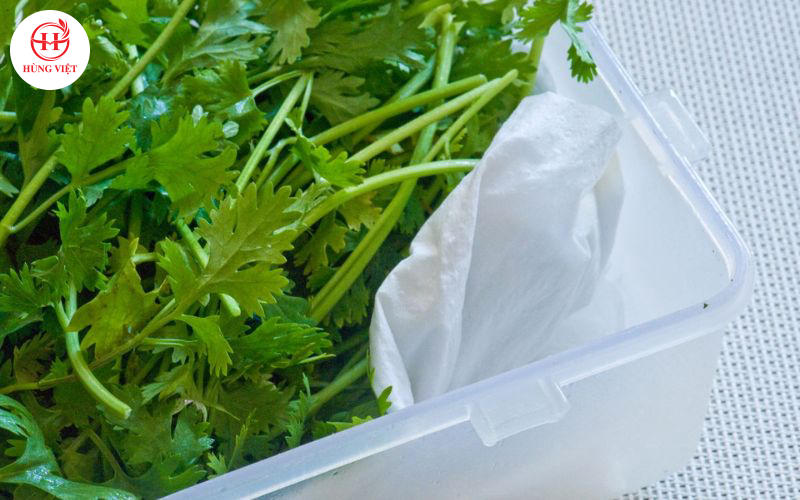 Mẹo Bảo Quản Rau Tươi Lâu Dành Cho Các Chủ Quán Nem Nướng