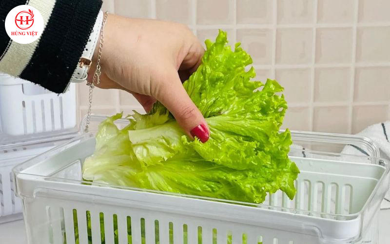 Mẹo Bảo Quản Rau Tươi Lâu Dành Cho Các Chủ Quán Nem Nướng