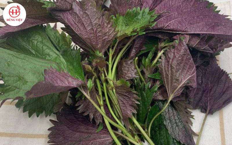 4 loại rau ăn kèm không thể thiếu trong món bún đậu mắm tôm