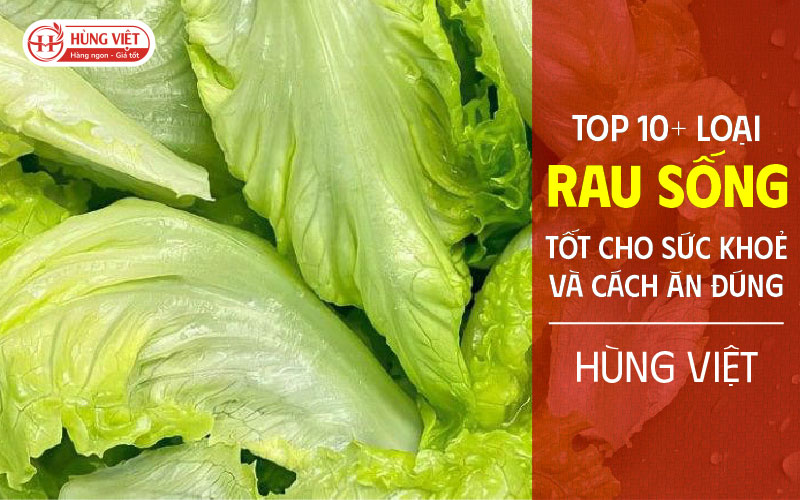 10+ loại rau sống tốt cho sức khỏe và cách ăn đúng
