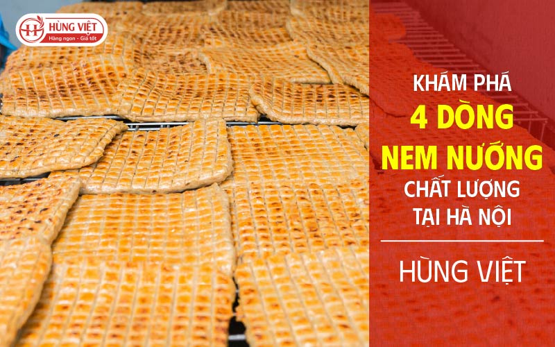 Khám Phá 4 Dòng Nem Nướng Chất Lượng Tại Hùng Việt