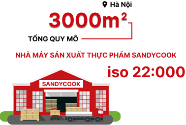 quy-mo-hoat-dong-2