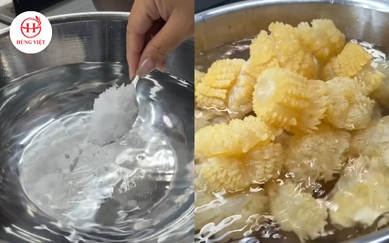 Sứa Đạn Là Gì? Bí Mật Đằng Sau Tên Gọi & Gợi Ý Món Ngon Dễ Làm